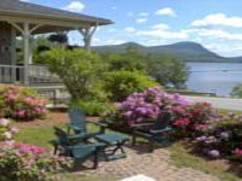 Willoughvale Inn Westmore Newport Kültér fotó