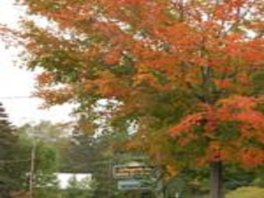 Willoughvale Inn Westmore Newport Kültér fotó